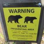 bear frequenting area montana